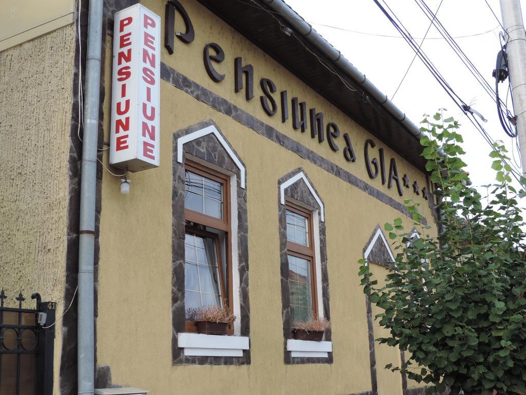 سيفِسوارا Pensiunea Gia المظهر الخارجي الصورة